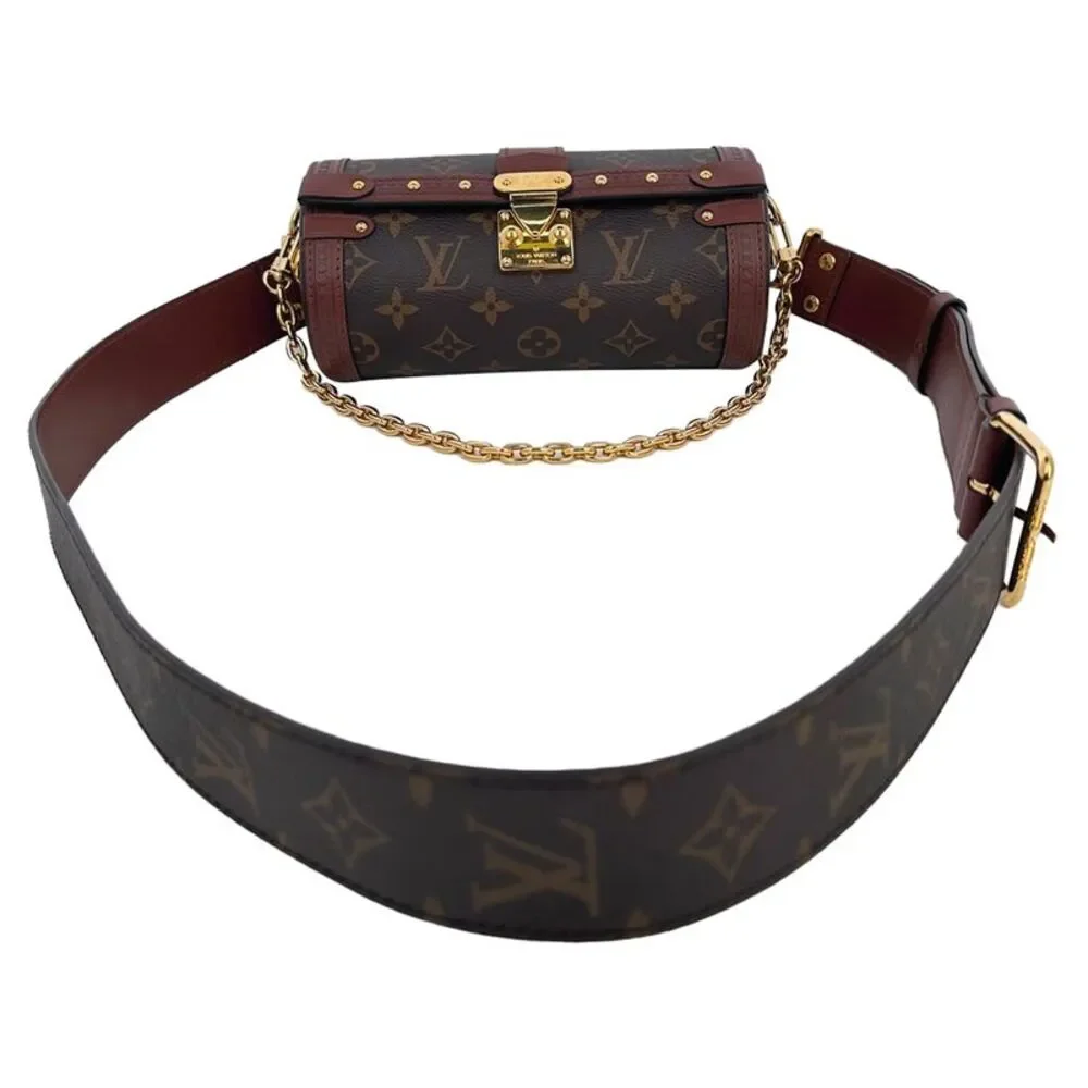 Louis Vuitton Papillon Trunk bag in Brown Nylon Canvas
